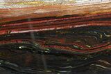 Polished Tiger Iron Stromatolite - ( Billion Years) #75855-1